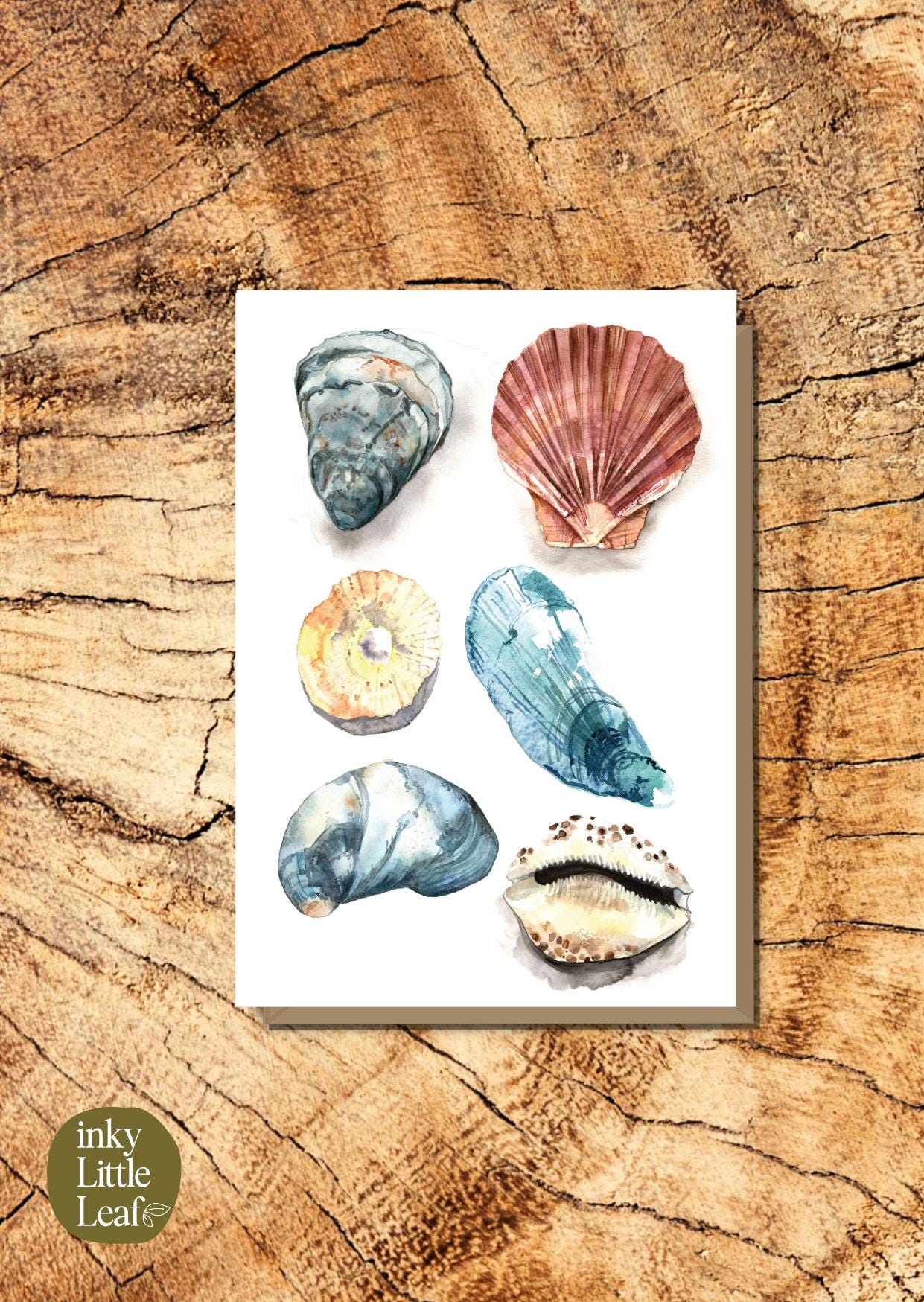 Shell Watercolour Card