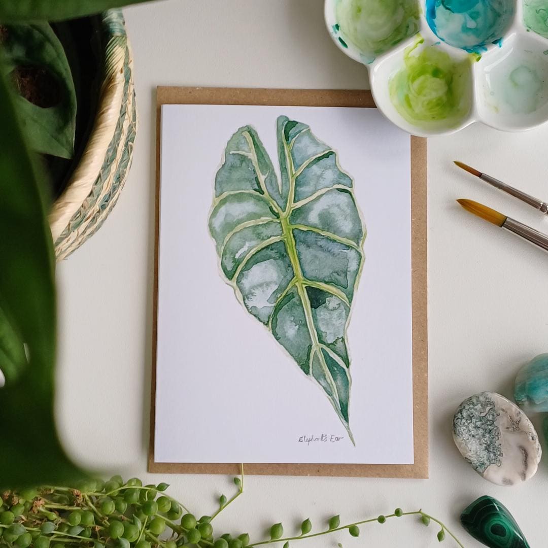 Elephant Ear Plant Greeting Card