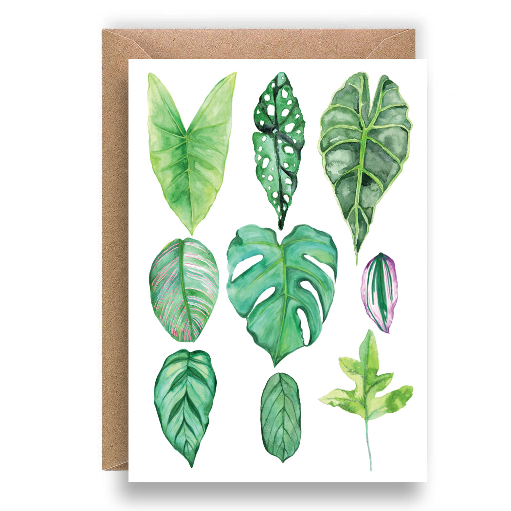 House Plant Greeting Card