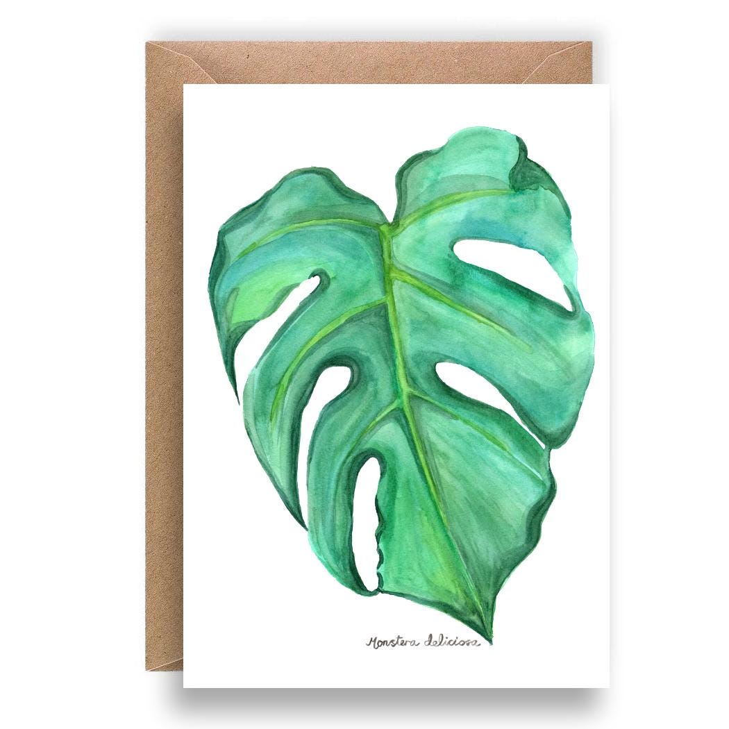 Monstera Deliciosa Card