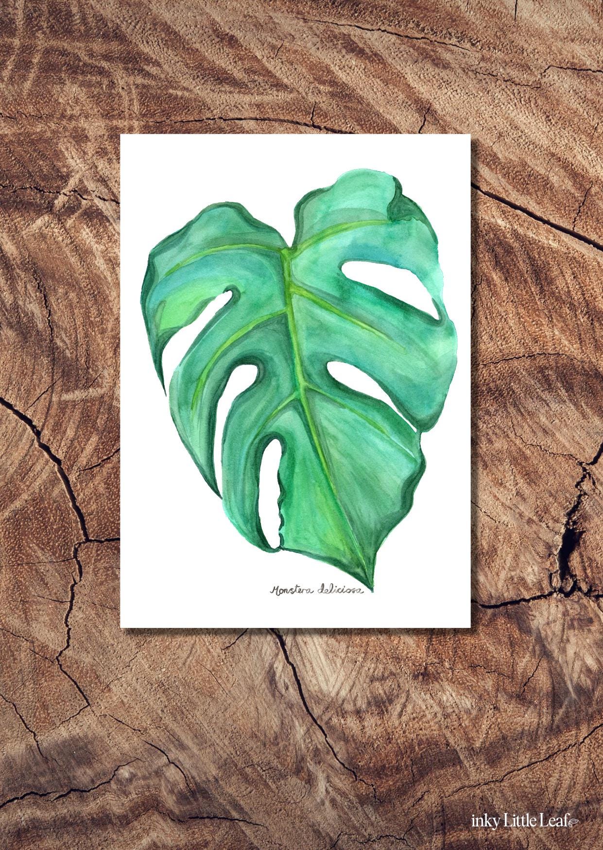 Monstera Deliciosa Card