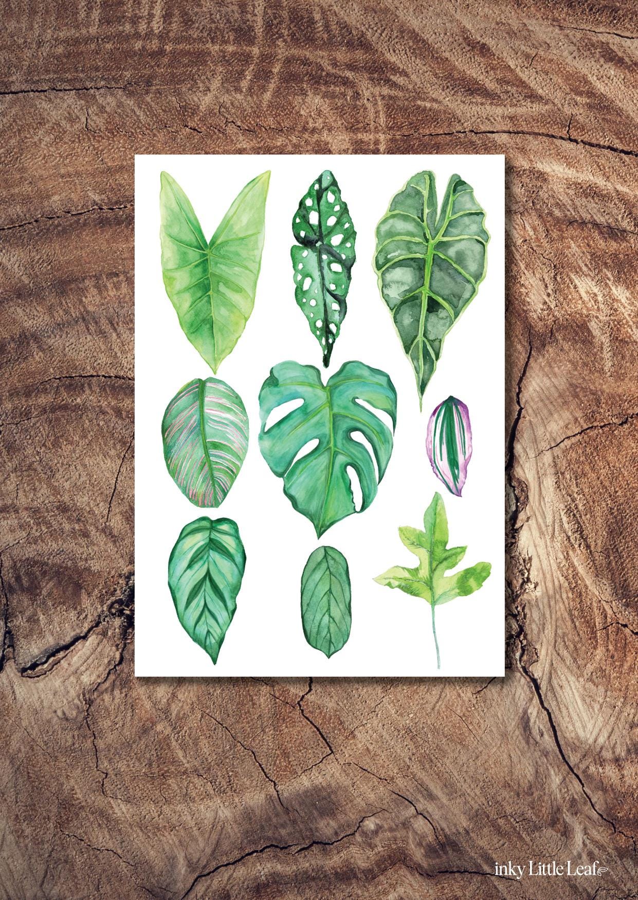 House Plant Greeting Card