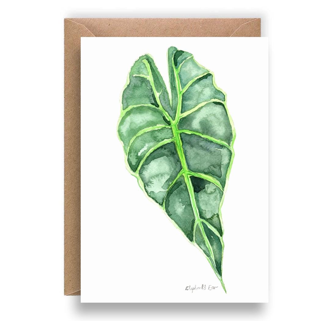 Elephant Ear Plant Greeting Card