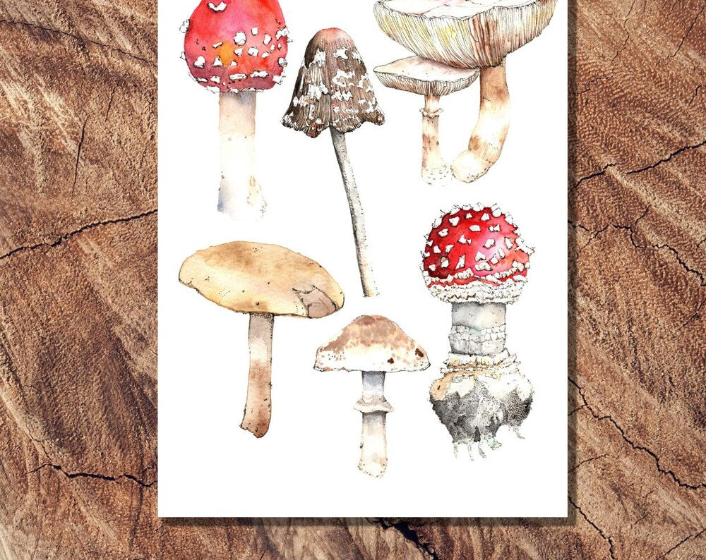 Mushroom Greeting Card