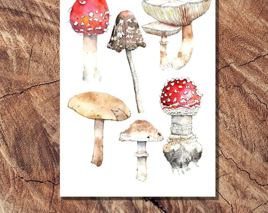 Mushroom Greeting Card